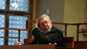 Ústavní právník, profesor Aleš Gerloch