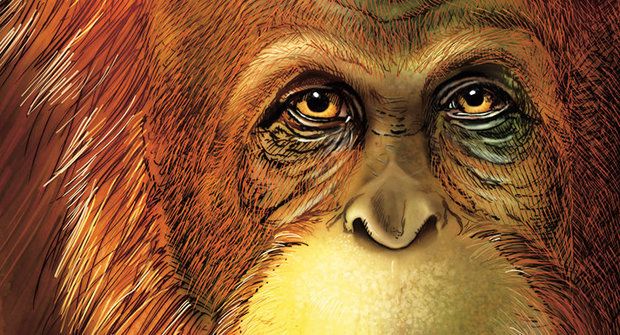 Přerostlá gorila, orangutan, nebo dokonce pračlověk? Největší a nejtajemnější lidoop