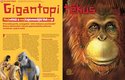 Přerostlá gorila, orangutan nebo dokonce pračlověk? Řešení dlouholeté záhady gigantopitéků najdete v ABC č. 1/2020