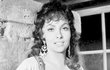 Gina Lollobrigida