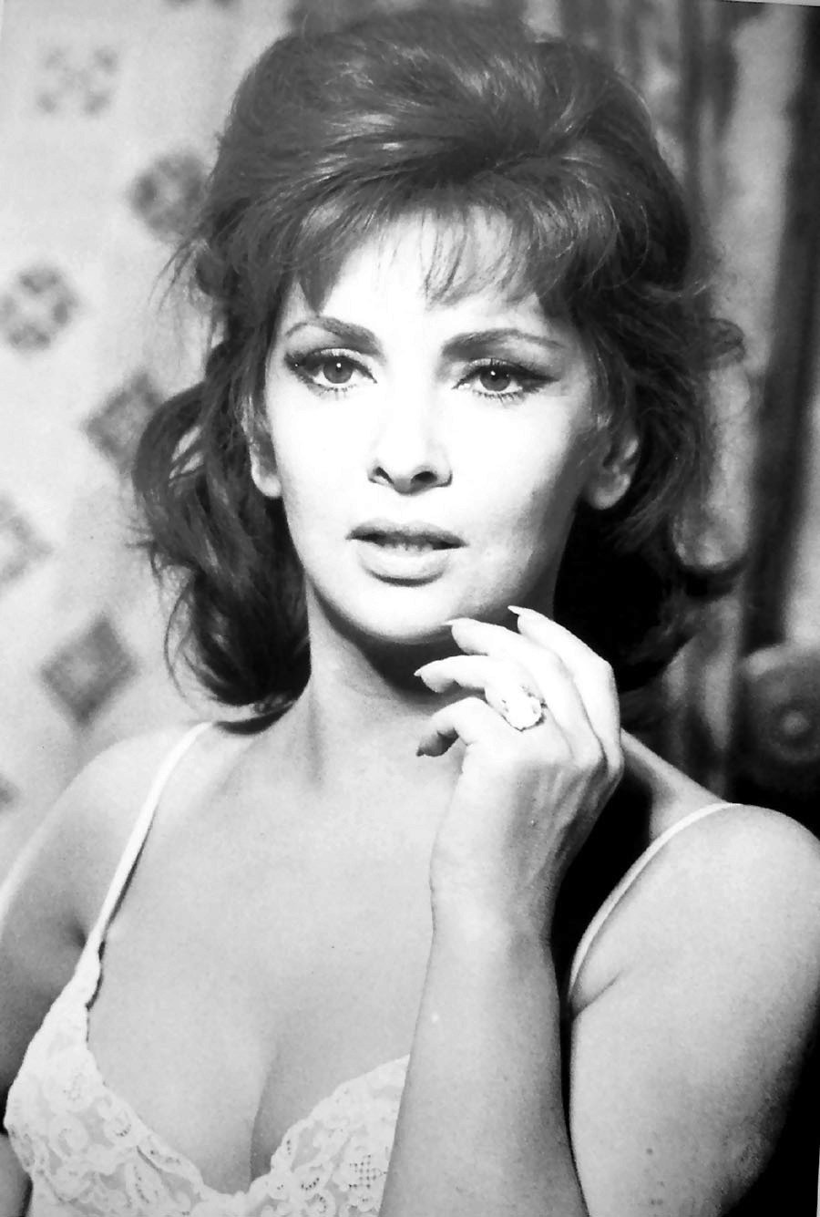 Gina Lollobrigida