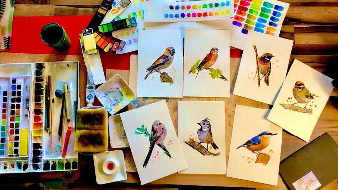 Ptačí armáda Lenky Benešové už inspirovala více než tisíc lidí a vybrala přes 4,5 milionu korun. Ptačí armáda Lenky Benešové už inspirovala více než tisíc lidí a vybrala přes 4,5 milionu korun.