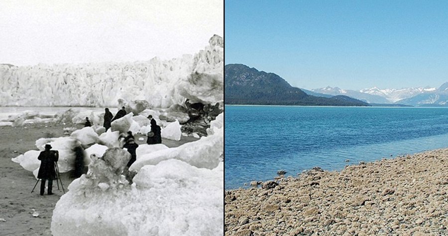 Muirův ledovec na Ajlašce kolem roku 1890 a v roce 2005. Masivní tání je znát.