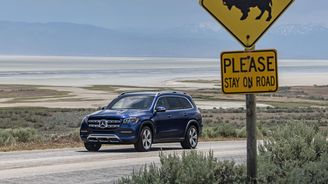 Mercedes-Benz GLS 450 Mercedes-Benz GLS 450