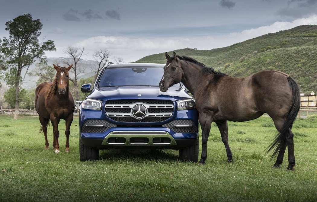 Mercedes-Benz GLS 450