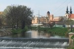 Brno zakáže svým organizacím používat jedovatý glyfosát určený pro údržbu městské zeleně. Nařízení má platit od roku 2020.