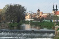 Stop glyfosátu! Pesticid, se kterým v Brně udržují zeleň, má rakovinotvorné účinky, zakáží ho