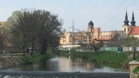 Stop glyfosátu! Pesticid, se kterým v Brně udržují zeleň, má rakovinotvorné účinky, zakáží ho