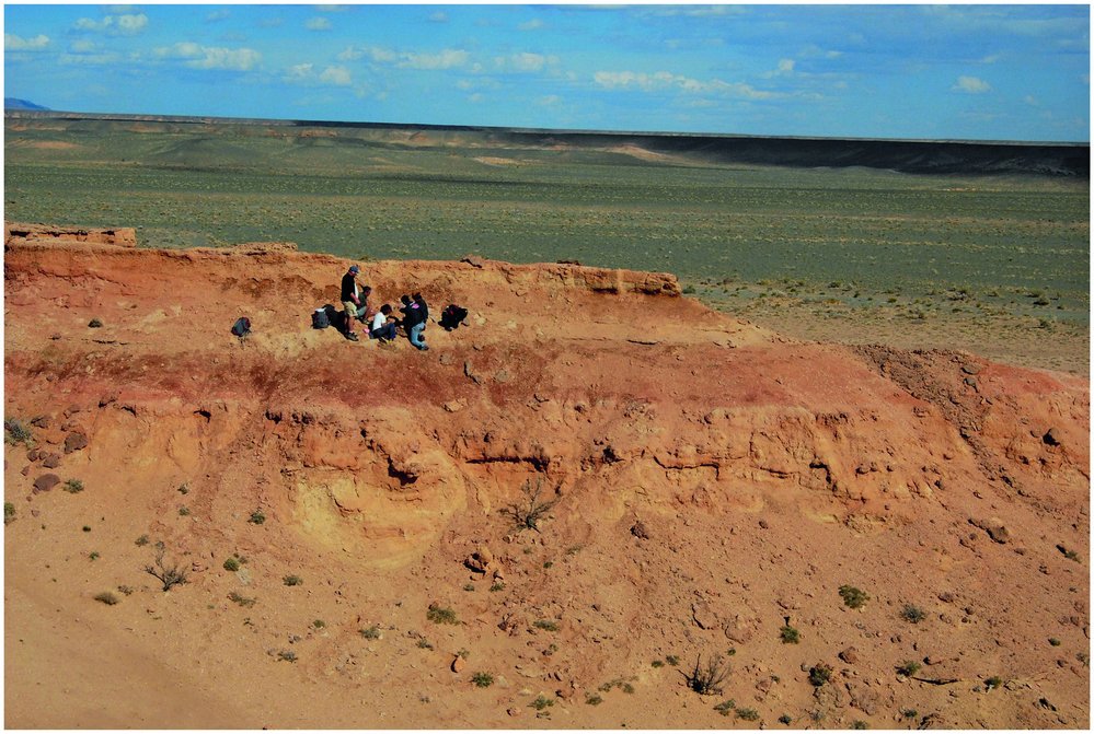 Paleontologické vykopávky v poušti Gobi