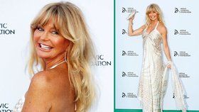 Goldie Hawn zazářila. Nejen úsměvem, ale i božskými šaty.