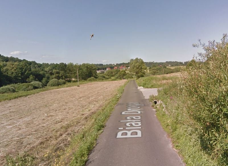 Google Street View auto srazilo a zabilo zajíce na silnici v Polsku.