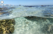V Austrálii vklouznete pod vodu s kamerou. A pak už jen plavete a rozhlížíte se.