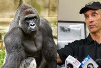 Zastřelený gorilák Harambe bude mít mláďata: Jeho odkaz bude žít nadále