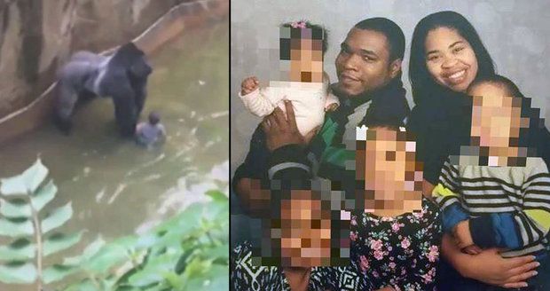 Rodiče kluka, kvůli kterému zastřelili gorilu: Otec kriminálník, matka bez soucitu!