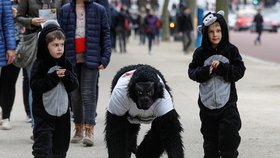 Policista zdolal maraton v kostýmu gorily.