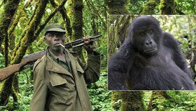 Pět správců národního parku Virunga zastřelila konžská milice.