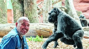 Rezervace Dja: Pražské gorily v novém domově