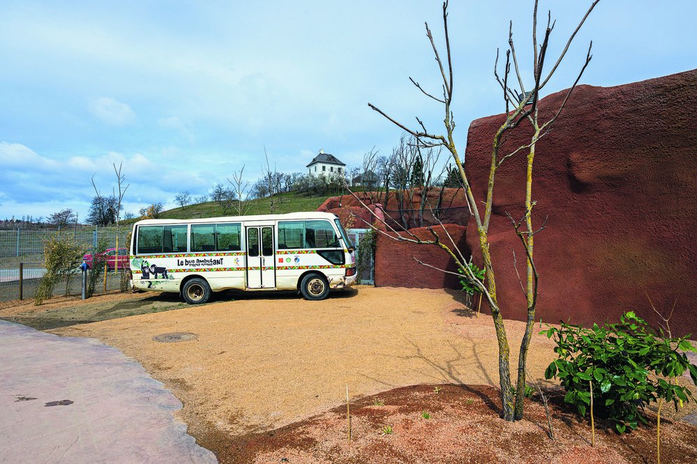 Toulavý autobus, který se vrátil z Kamerunu
