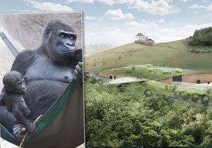 Vizualizace nového pavilonu goril v Zoo Praha: Vznikne nakonec v této podobě?