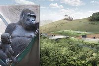 Zoo Praha bojuje o nový pavilon goril: Ten starý lidoopy neochrání před povodní