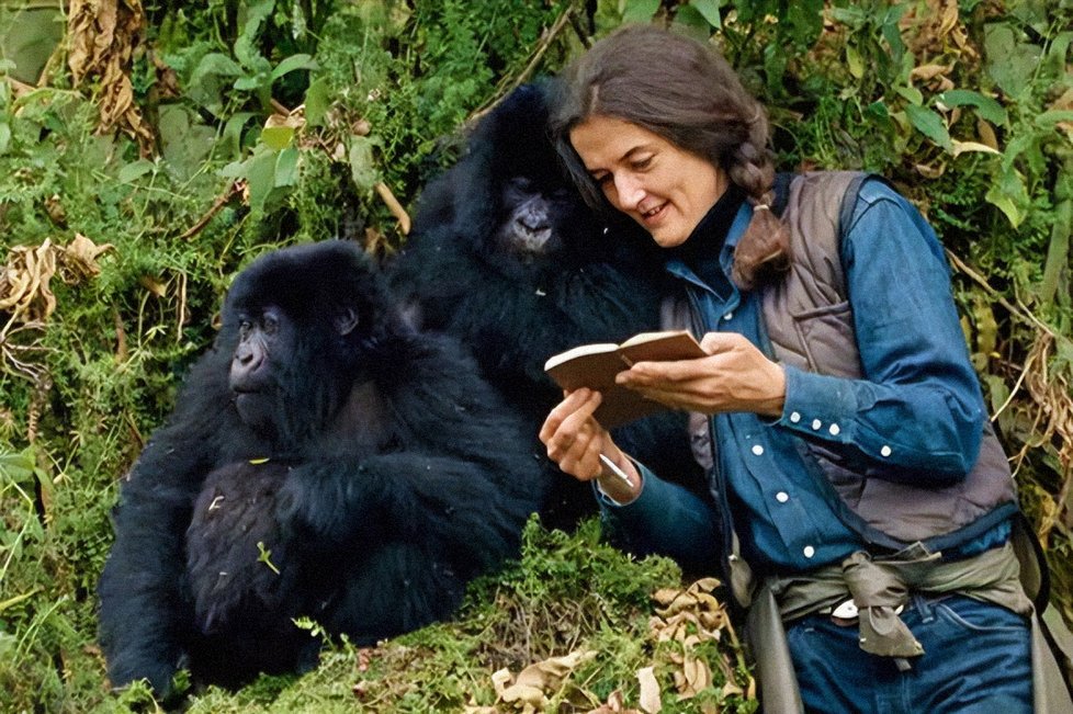 „Když si uvědomíme cenu všeho živého, budeme méně lpět na minulosti a můžeme se tak více soustředit na záchranu budoucnosti,“ zněla poslední věta deníku Dian Fosseyové (†53), autorky knihy Gorily v mlze...