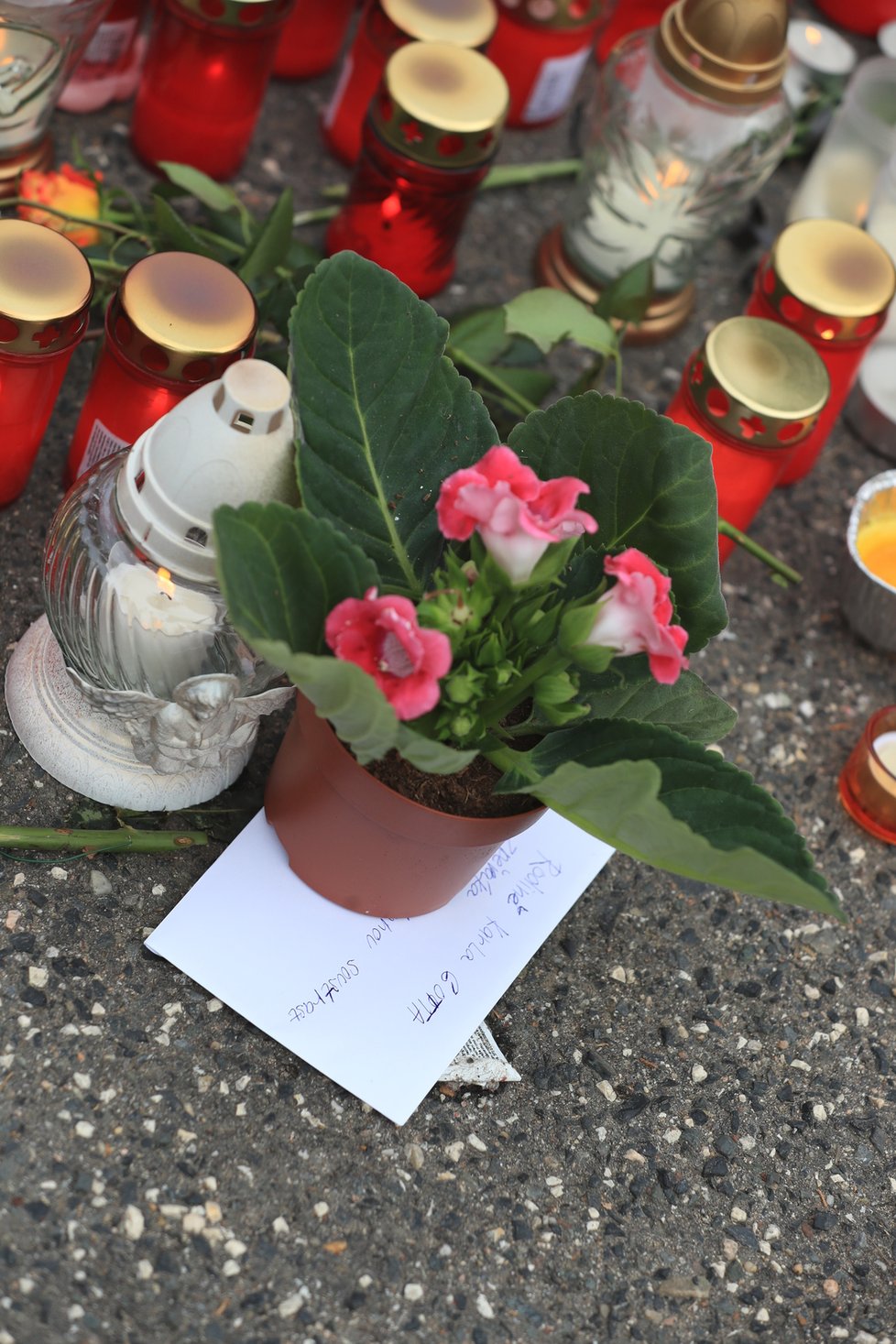 Fanoušci Karla Gotta nosí na Bertramku svíčky, květiny a dárečky.
