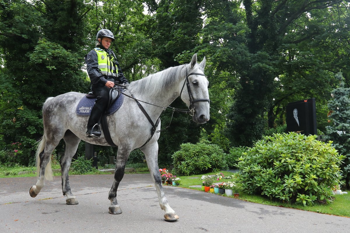 Na dění okolo hrobu budou také dohlížet strážníci městské policie.