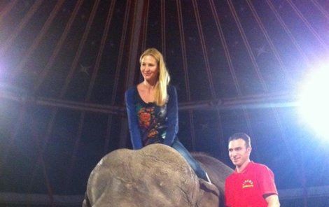 Ivana se projela na obrovitém slonovi!