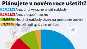 Plánujete v novém roce ušetřit?