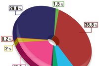 Politické hříchy po česku: Korupce vadí, milenky ne!