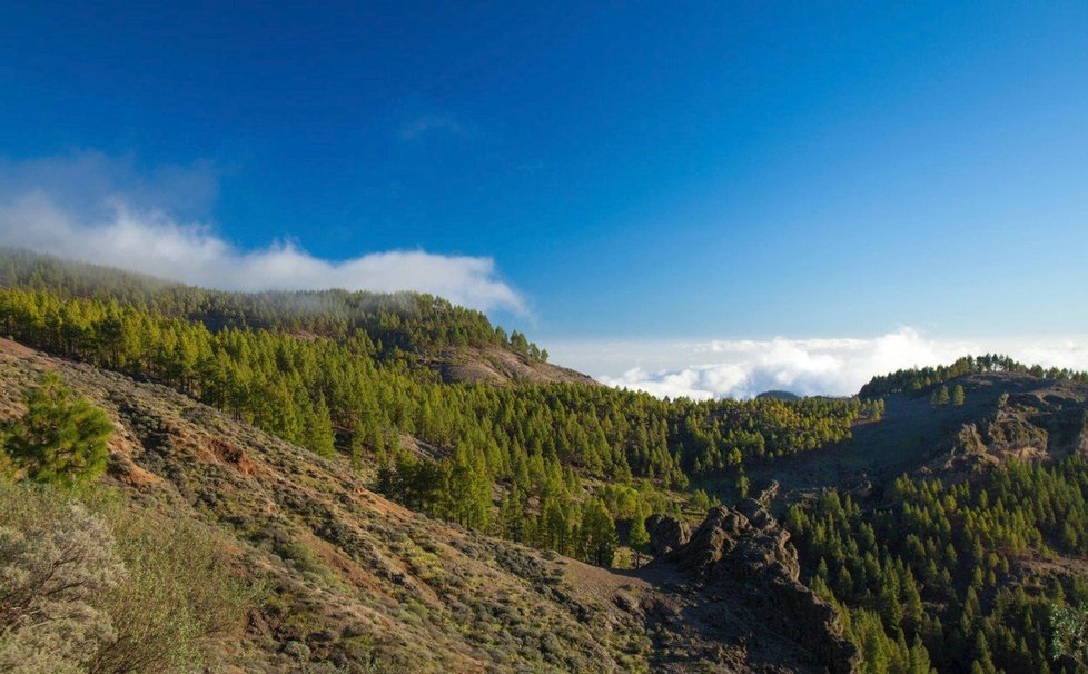 Gran Canaria je oblíbeným turistickým rájem i mezi Čechy