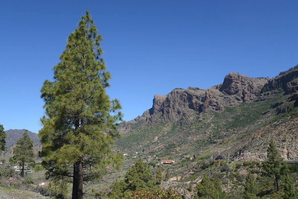 Díky horám a svému umístění je na ostrově Gran Canaria řada různých biotopů