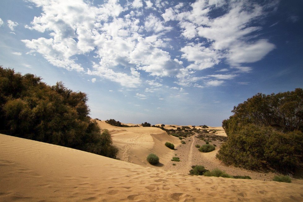 Gran Canaria se může pyšnit řadou různých prostředí, od písečných dun po jehličnaté lesy