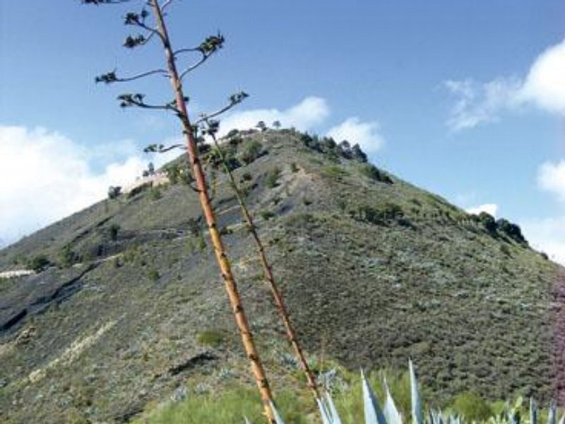 Gran Canaria