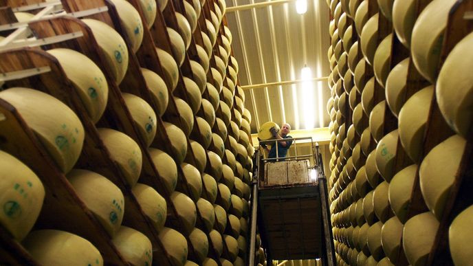 Firma z Litovle vyrábí extra tvrdý sýr Gran Moravia typu grana, tedy výrobek velmi blízký italským sýrům Parmigiano Reggiano a Grana Padano. Firma z Litovle vyrábí extra tvrdý sýr Gran Moravia typu grana, tedy výrobek velmi blízký italským sýrům Parmigiano Reggiano a Grana Padano.