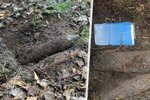 Houbařka (58) našla u Arnoltova místo hub granát: Pyrotechnik ho na místě odpálil
