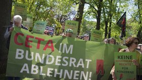 Nizozemská pobočka Greenpeace získala dokumenty, které ukazují, že USA chtějí v dohodě TTIP zmírnit pravidla pro prodej geneticky modifikovaných potravin.