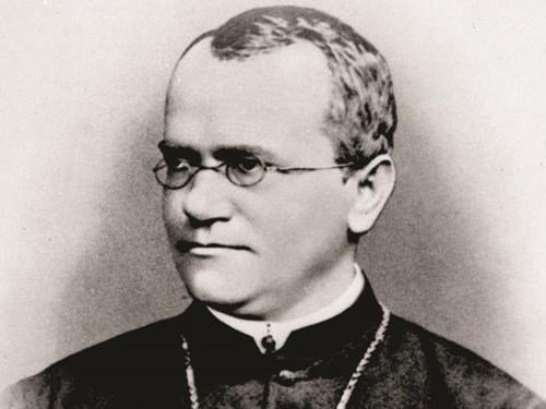 Gregor Johann Mendel (1822-1884) moravský přírodovědec německého původu, zakladatel genetiky a objevitel základních zákonů genetiky.