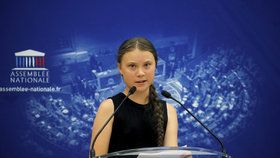 Švédská environmentální aktivistka Greta Thunbergová (16).