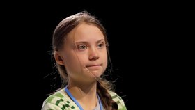 Švédská klimatická aktivistka Greta Thunbergová (16)