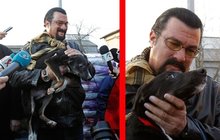 Drsný Steven Seagal v Rumunsku zjihl: Adoptoval si pejska!