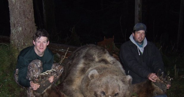 Grizzly dokáže běžet rychlostí až 50 km za hodinu.