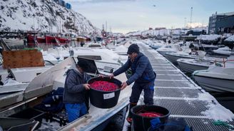 Francie posílí vojenskou přítomnost v Grónsku, zapojují se další státy NATO Francie posílí vojenskou přítomnost v Grónsku, zapojují se další státy NATO