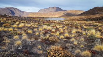 Arctic Circle Trail: Putování arktickou krajinou Grónska aneb Tundrou až k ledovcům