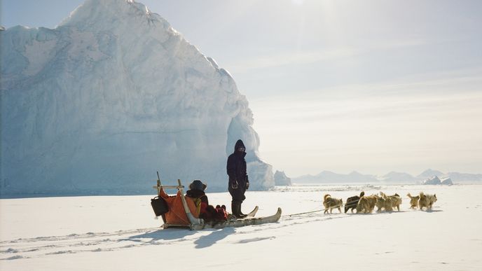 Křižování zamrzlého fjordu na psím spřežení