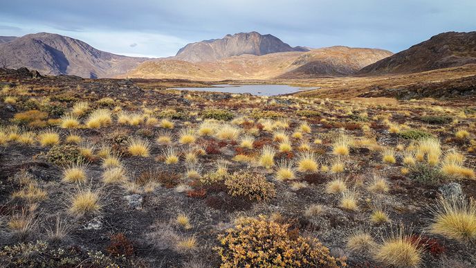 Tundra u jezera Innajuattoq