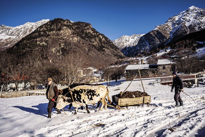Vyvážení hnoje z chlívků na saních symbolizuje mizející tradiční život horských obyvatel Svanetie