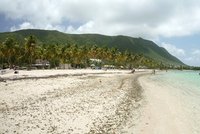 Další tropický ráj zavádí přísný lockdown. Guadeloupe následuje Martinik a Réunion