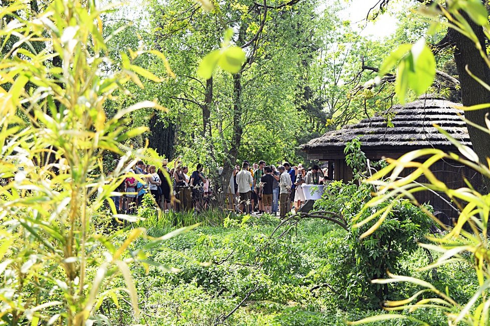 Sotva guerézí kluk vykoukl v pražské zoo na svět, stal se miláčkem nejen mámy Lucie a opičí tlupy, ale také veřejnosti. Čtenáři Blesku měli šanci rozhodnou o jeho jménu - vybrali mu jménu ABU