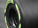Bridgestone vyrábí pneumatiky z pouštních keříků guayule 